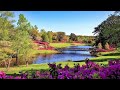 Peaceful Ambient Calm Focus Meditation Music | Beautiful Nature Landscape & Lake