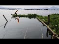 CAMP FISHING EP. 188 Singgah Di Pulau Perbatasan Bandung Barat Dan Cianjur