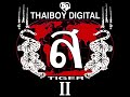 Thaiboy Digital - Tiger II