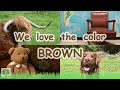The Colors Song ~ Learn the Colors / Colours ~ LEARN ENGLISH with Natural English ~ LEARN VOCABULARY