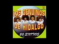 Los Genuinos de Hidalgo - 20 Exitos (Disco Completo)