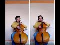 Upper second Position cello. The Tired Tortoise