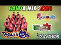 Banda Pequenos, Banda Cuisillos, Machos, El Mexicano - Bandas Viejitas Pero Movidas Bonitas Mix 2024