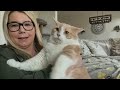 Ottawa’s Axel ‘Biggie Smalls’ cat goes viral for weight loss journey | Your Morning