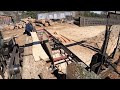 Andruw’s Sawing Poplar on His Birthday