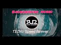 T3ZNU Speed forever (fast version)
