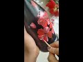 Hibiscus Painting /one stroke bottle painting