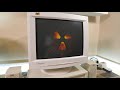 Exploring the IBM NetVista M41 Windows 98 PC