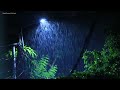 Beruhigt Angst in 11 Minuten Schläft sofort unter starkem Regen in einem nebligen Wald - ASMR