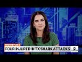 Four injured in Texas shark attacks
