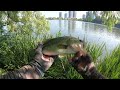 Fishing for Pressured Toronto Bass - High Park, Grenadier Pond