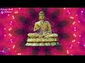 [100% Ad-Free, Meditation Music] Clear Negative Energy, Gain Positive Energy, Music Therapy