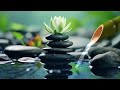 Relaxing music with the sounds of nature Bamboo Water Fountain [Healing music BGM] #6