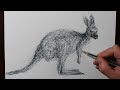How to Draw a Kangaroo | Cool Drawing with a Biro Pen