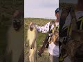 “I’m feeling the Joy!” - Blitzing Pest Monkeys in South Africa