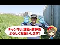 家庭菜園や農園の枝豆栽培で種蒔きのポイントを徹底解説！害虫や鳥害を防ぐ枝豆の育て方！【農家直伝】