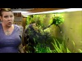 My top five EASY aquarium plants