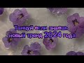 🍇💜танцуй если знаешь этот тренд 2024 года💜🍇