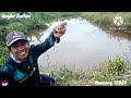 PENGEN MANCING IKAN PAKAI JORAN TEGEK.#mancingtegek#iwanchivux