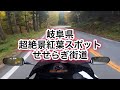 今すぐ観て！せせらぎ街道の紅葉情報　10月23日の様子