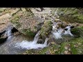 Deep autumn full of fishing leaves, the sound of the falling valley water ASMR