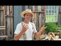 Growing Healthy Soil (and Keeping it That Way) at Frith Farm