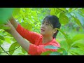 Harvest Jackfruit, Lychees & Mangoes Goes To Market Sell||Summer fruit collection||LÝ TRIỆU CA