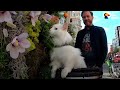 Deaf Cat Loves Riding Around London With Her Dad | The Dodo Cat Crazy