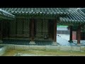 고궁의 뒤마당에 내리는 폭우 거센 빗소리에 힐링, 수면, 백색소음 자장가 asmr l heavy rain sounds, white noise