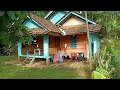 Rumah indah di tengah pesawahan.#videoviral #Pelosok Majalengka.#majalengka#pesawahan#indonesia