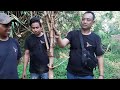 pembolangan bambu unik didaerah serang panegelang  Banten @sukronmakmun123
