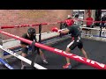 16 year old King Robert Meriwether lll sparring pro boxer