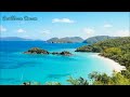 Beautiful Tropical Music & Caribbean Music & Hawaiian Music - Island Paradise 🌴