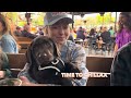 LABRADOR PUPPY GOES TO BRUNCH!!!