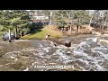 Flood footage: Androscoggin River, Maine