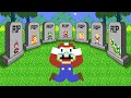 When Mario Presses the ULTIMATE Pacman - Mario Switch in Super Mario Bros.?