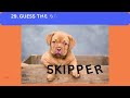 Quiz blasters/Guess the Scrambled Word/Popular Doggie Names/Quiz#31/Can you guess the doggie names