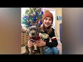 Best Great Dane Puppy Surprise EVER! Little Girl Cries Tears of Joy 🥹