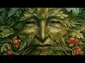 Magical Forest Enchanted Celtic Woods Album