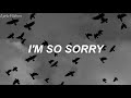 I'm So Sorry - Imagine Dragons - Lyrics