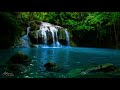 10 hours Relaxing Soothing Music, AMAZING Beautiful Nature with Peaceful  Music in 4k, by Tim Janis