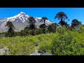 Ruta desde Pucon (Chile) - frontera Argentina Volcan Lanin Argentino.Sergio Faiella viaja