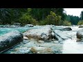 River and relaxing piano music, sleep, relaxation, study, reading, concentration, yoga