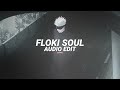 floki & lost soul remix [edit audio]