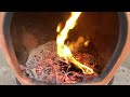 Does anyone know what kind of bug this is? Watch Bugs Dance on a Hot Chiminea!