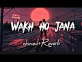 Wakh Ho Jana  [slowed+reverb] viral lofi