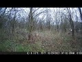 trail cam dec 22 thru dec 29 2021 never know what we see here !! NOT CLICKBAIT