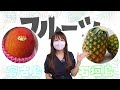 【頂上決戦】宮古島vs石垣島あなたにオススメなのはどっち？事前に違いを知っておくことで後悔のない旅ができます！沖縄マニアが徹底比較🏝️