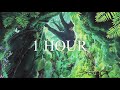 (1 Hour) Another Love - Tom Odell (Clean)