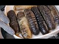 The Best Method to Soak Dried Sea Cucumbers / 如何浸發海參 / 海參處理方法